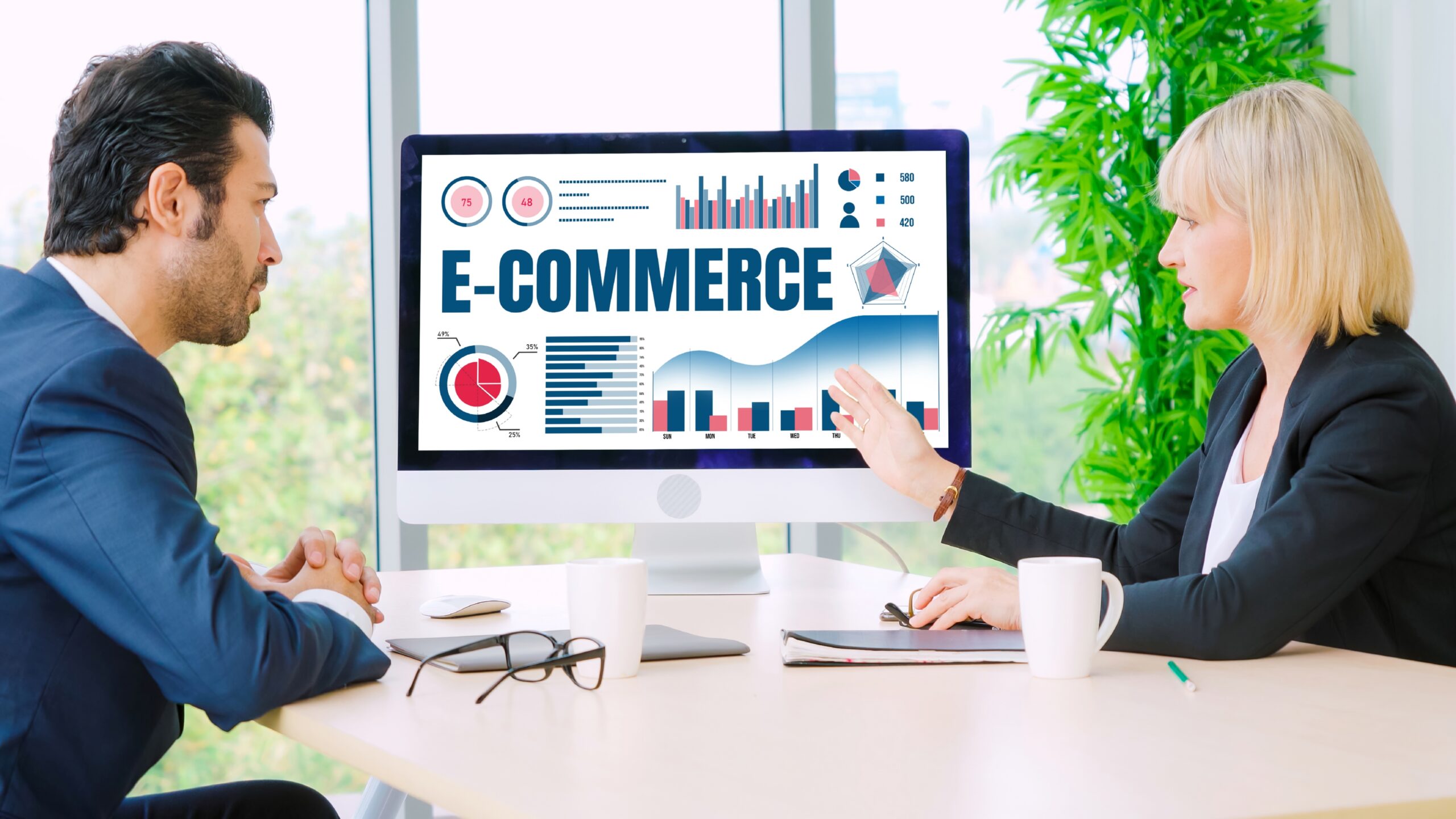 E-commerce data software provide modish dashboard for sale analysis to the online retail business